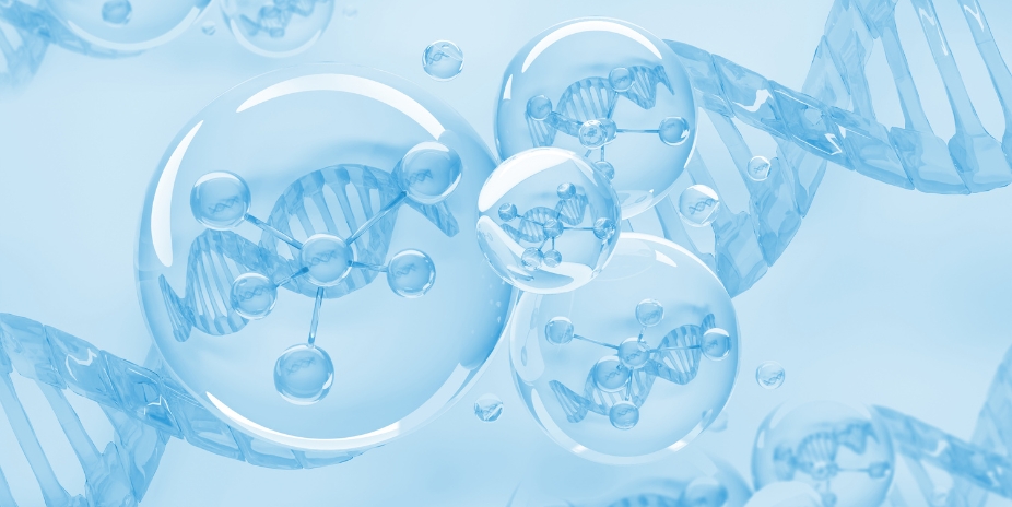 Cells produce energy