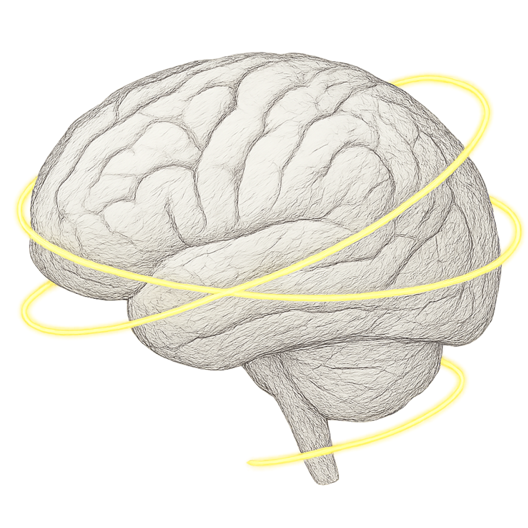 Healthy brain function