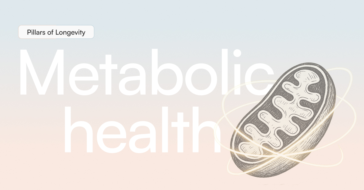 glutathione food chart 11 Whole Foods to Support GLUTATHIONE — Functional Health Research +  Resources — Made Whole Nutrition