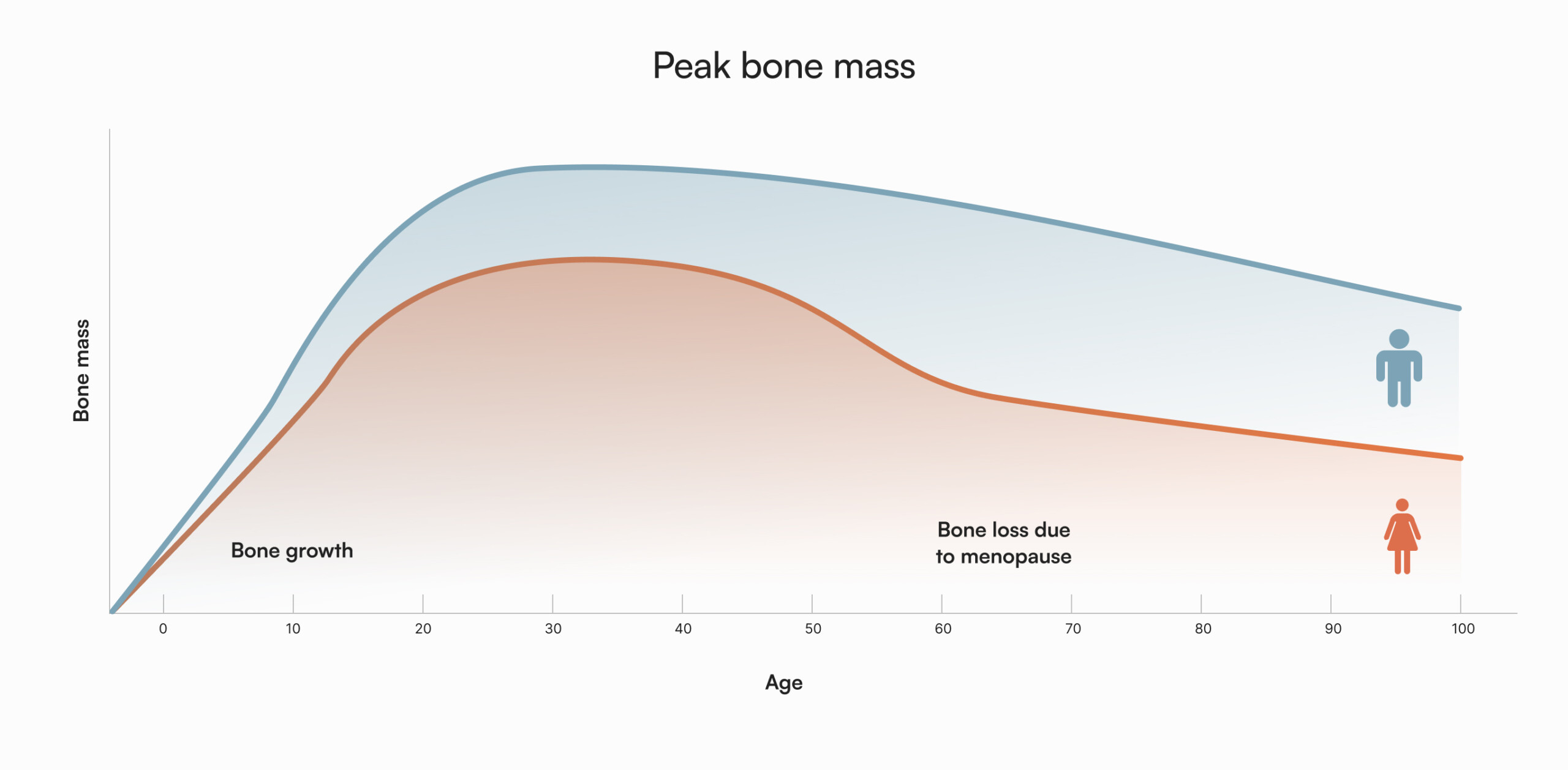 Peak bone mass chart