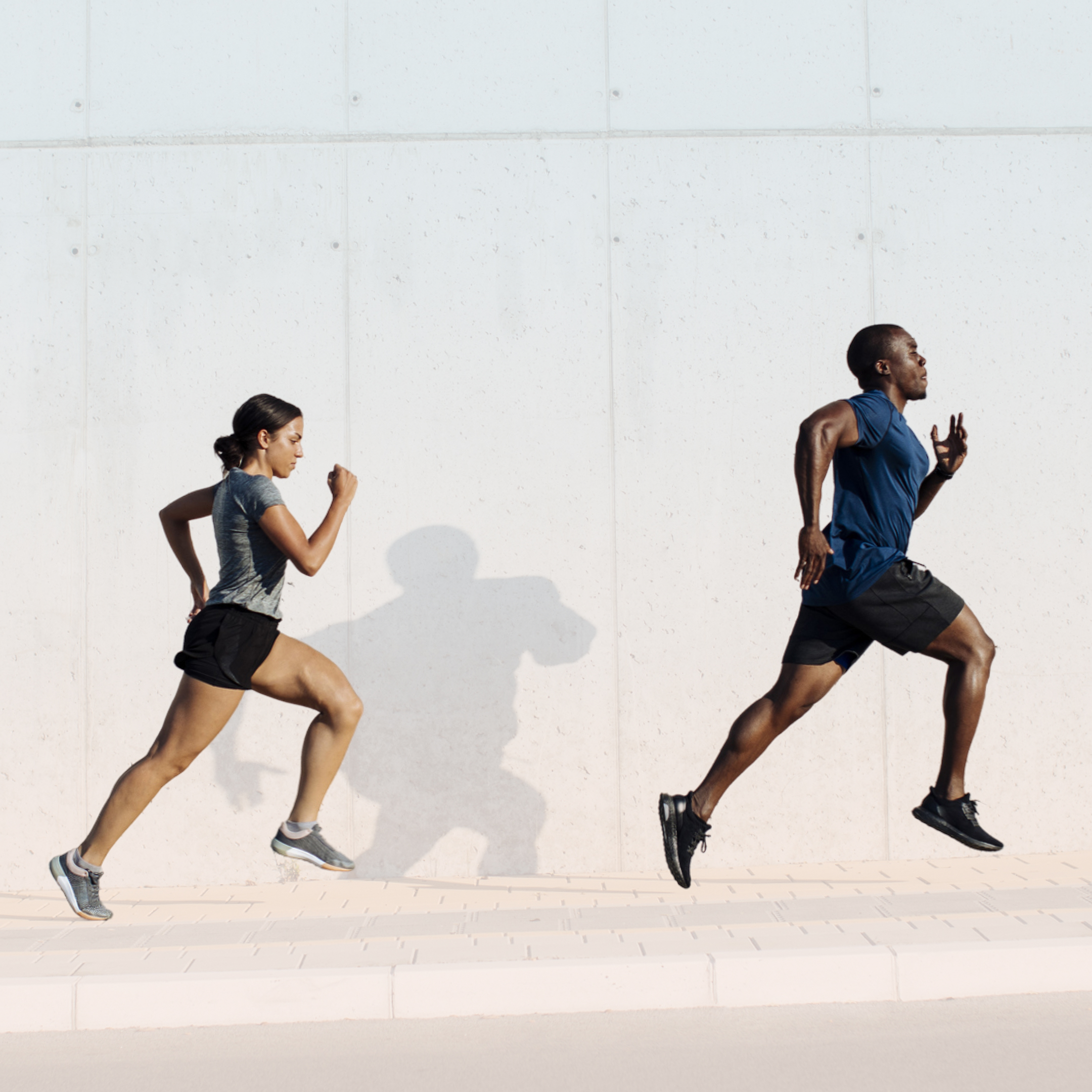 pillars of longevity cardiovascular health